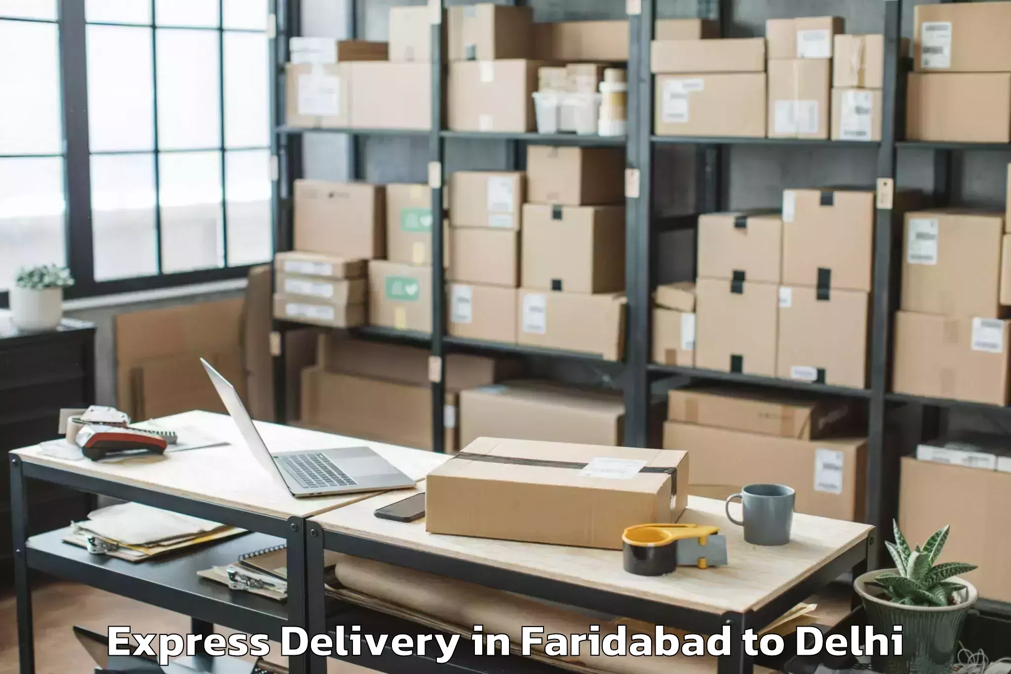 Quality Faridabad to Naraina Industrial Estate Express Delivery